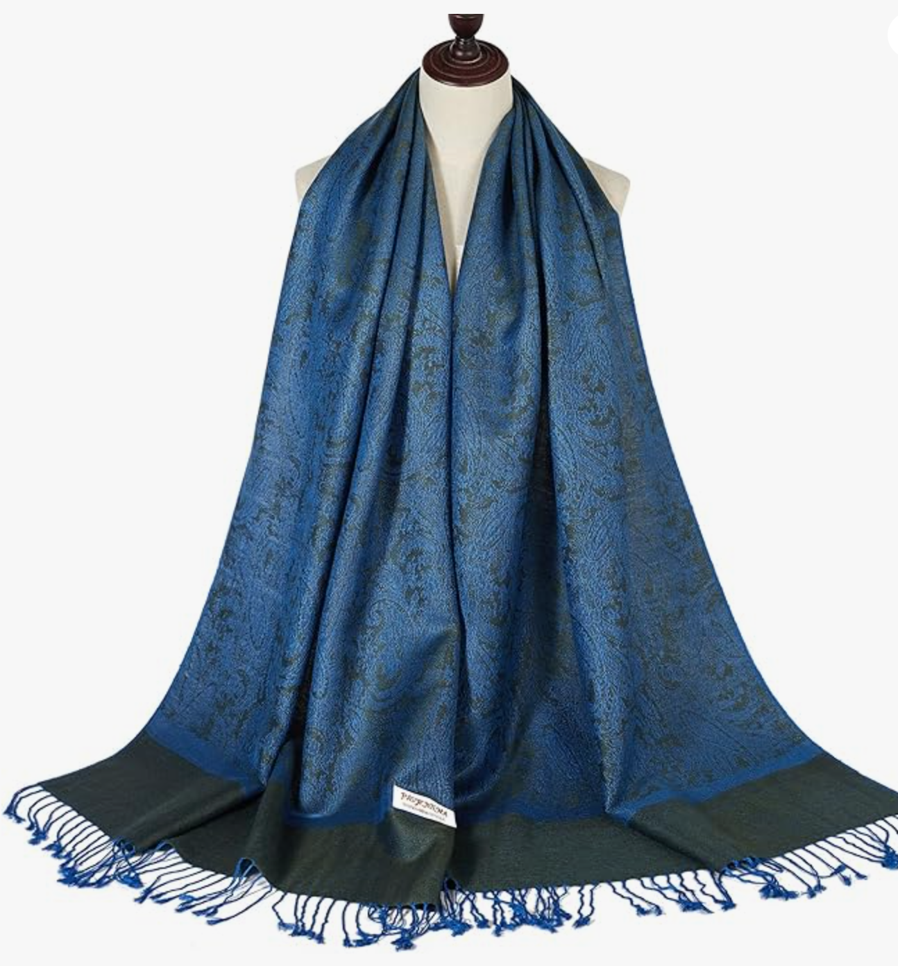 Celestial Horizons Pashmina Collection